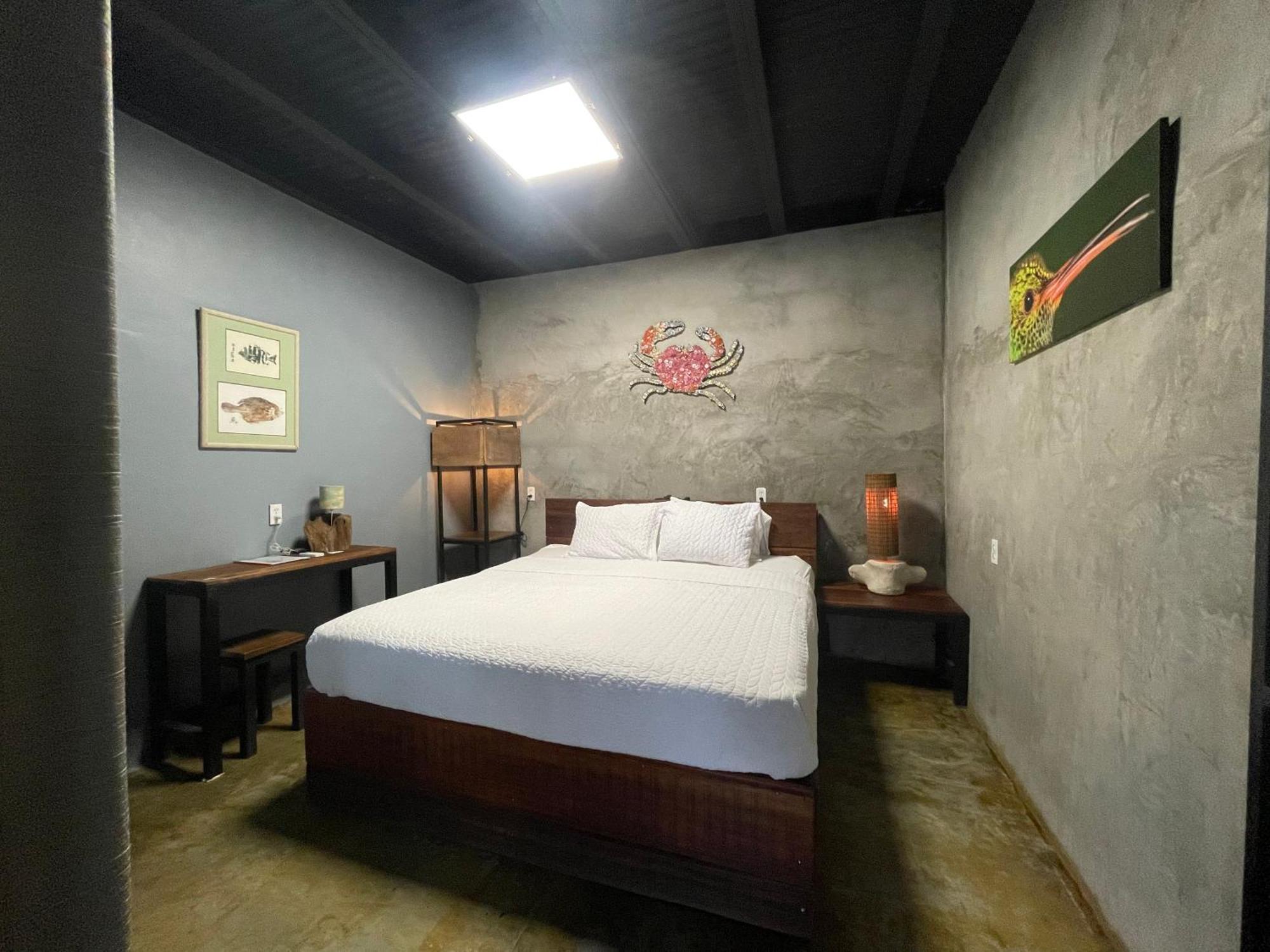 San Carlos Surf Resort & Eco Lodge Εξωτερικό φωτογραφία